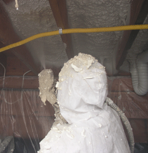 New Orleans Louisiana crawl space insulation